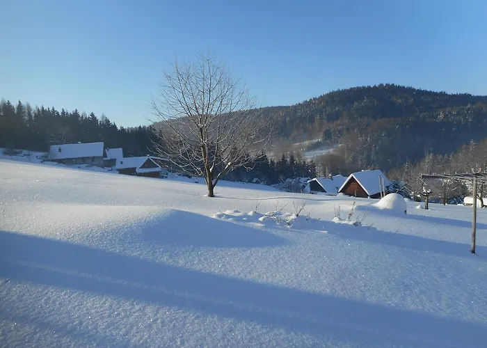 Vecernik Semesterbostad *